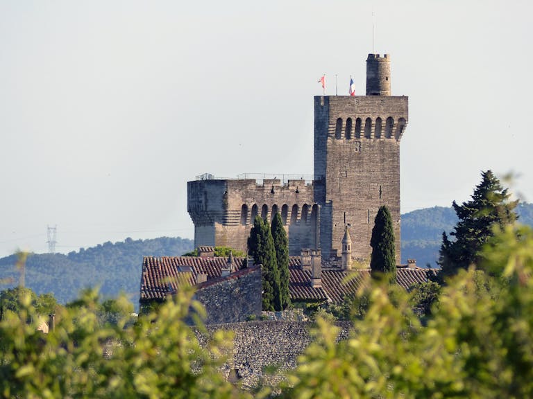 Medieval Tower with Flags on Top