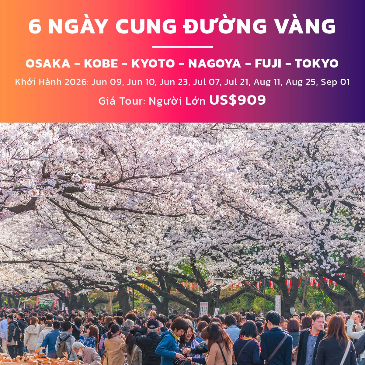 Japan Sakura