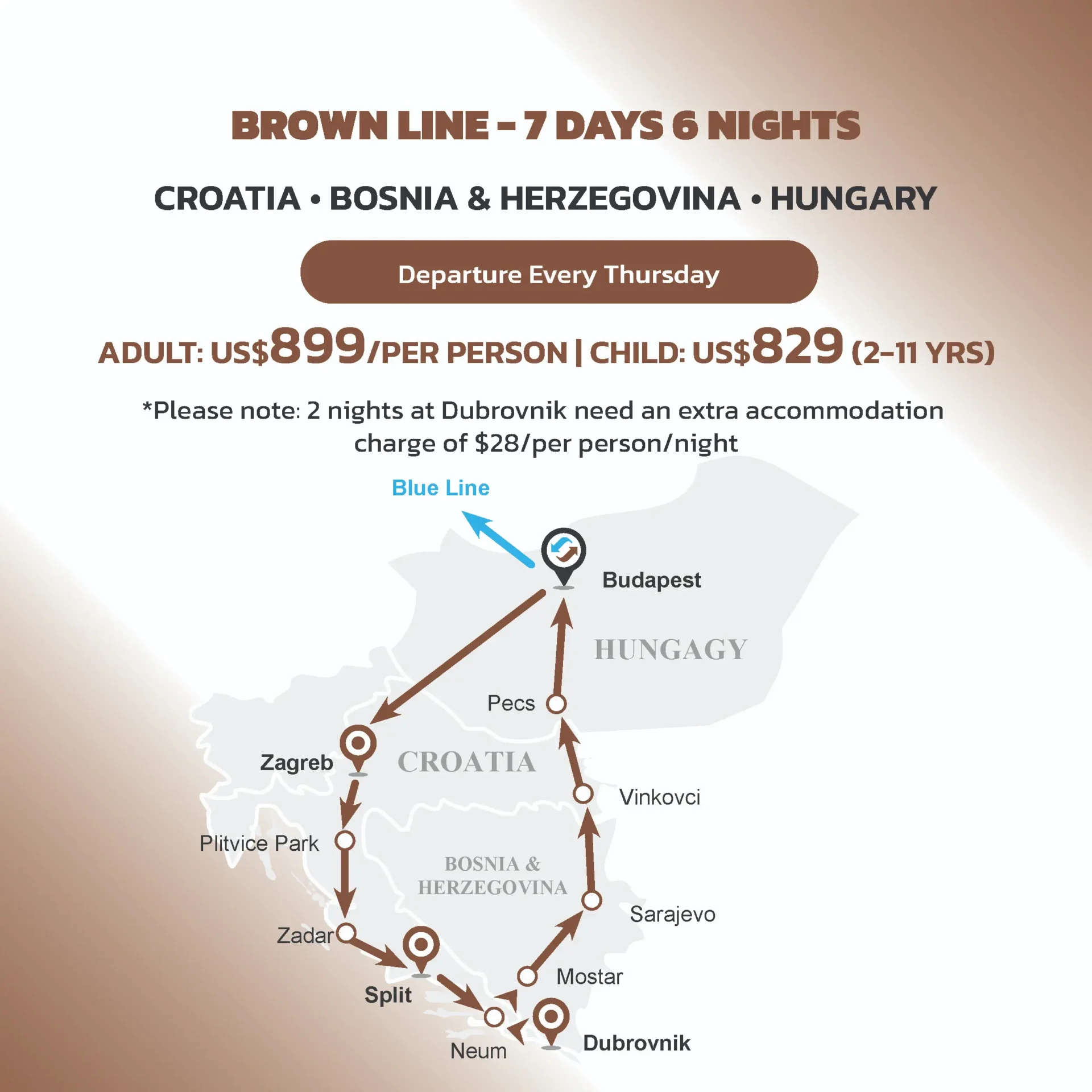 Web brown en