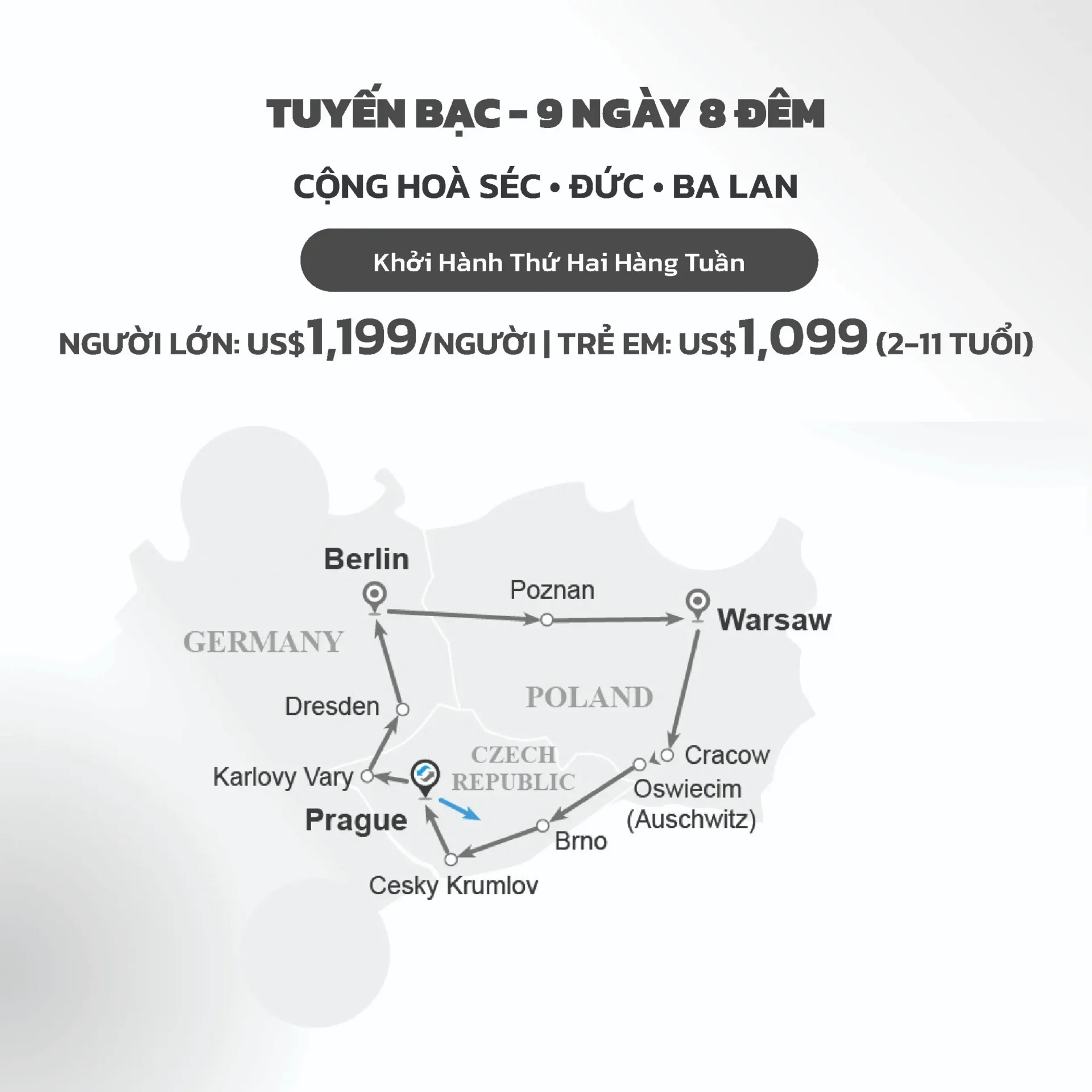Web silver vn