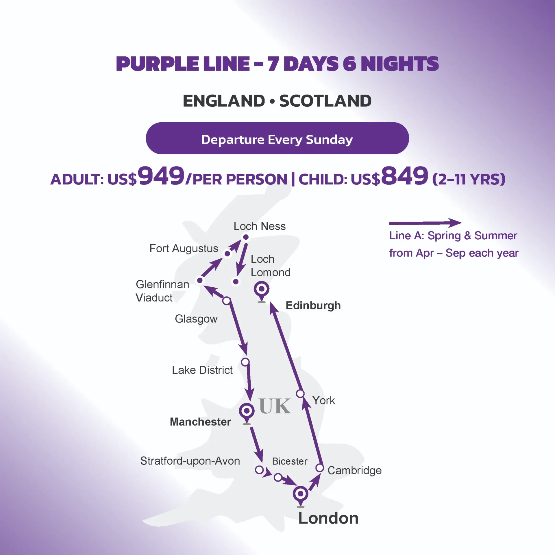Web EN New Purple A
